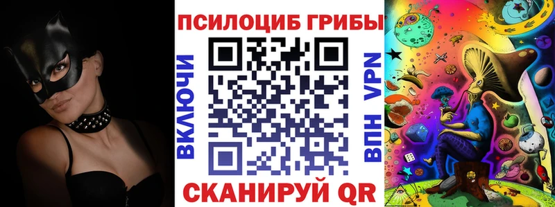 Галлюциногенные грибы Psilocybe Урень
